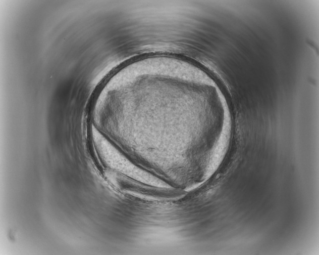 X0000101650983200807311409