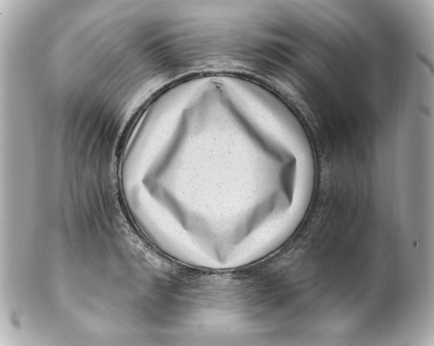 X0000101650990200807311409