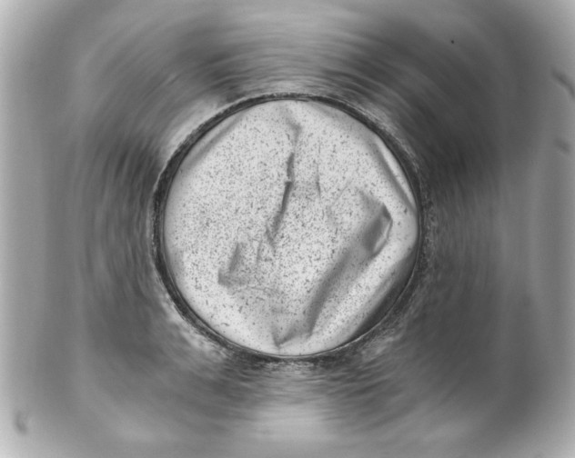 X0000101650991200807311409