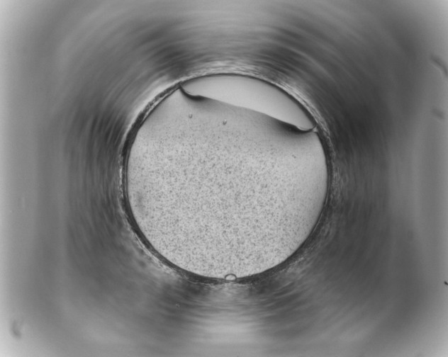 X0000101650992200807311409