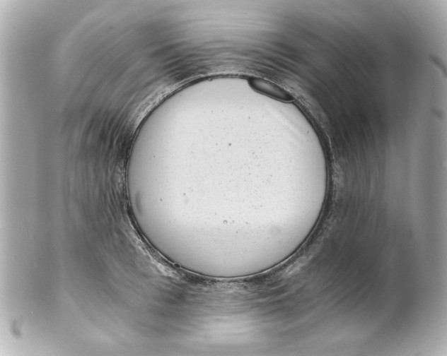 X0000101650993200807311409