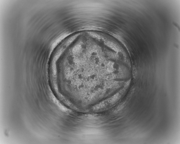 X0000101650995200807311409