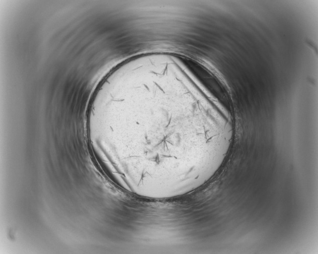 X0000101650996200807311409