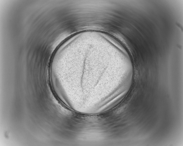 X0000101650999200807311409