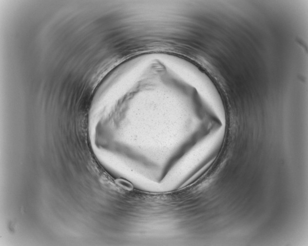 X0000101651001200807311409