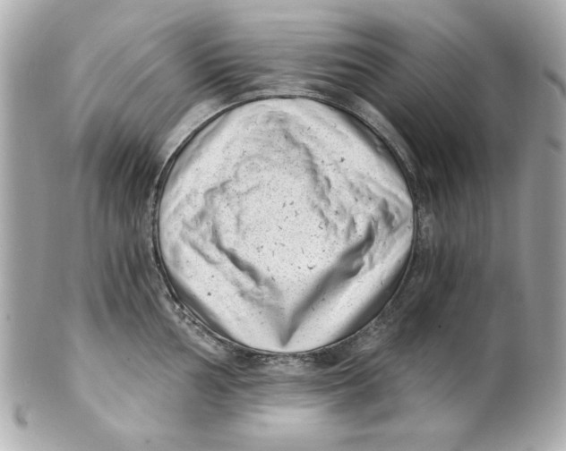X0000101651002200807311409