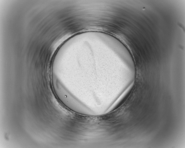 X0000101651003200807311409