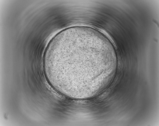 X0000101651004200807311409