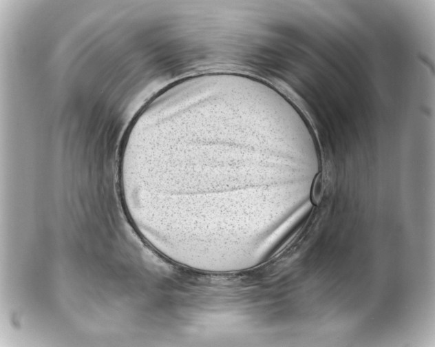 X0000101651005200807311409