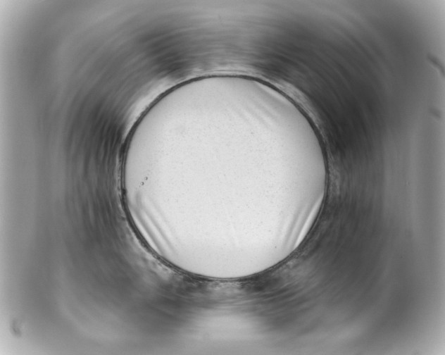 X0000101651006200807311409