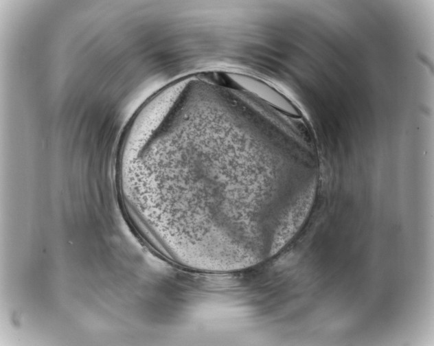 X0000101651007200807311409