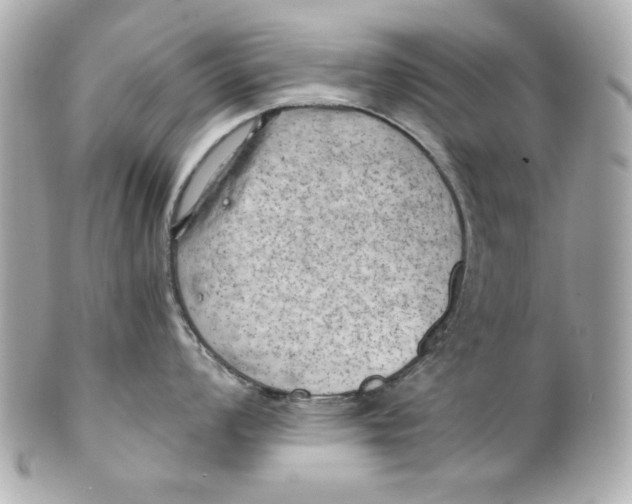 X0000101651008200807311409