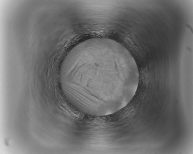 X0000101651009200807311408