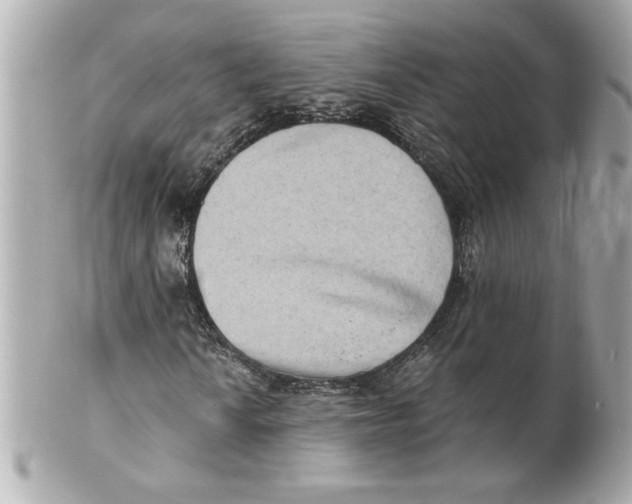 X0000101651010200807311408
