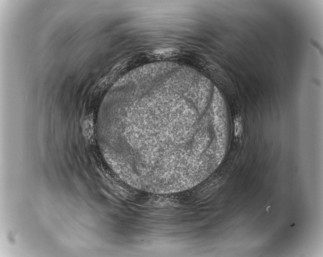 X0000101651011200807311408