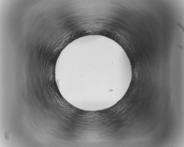 X0000101651012200807311408