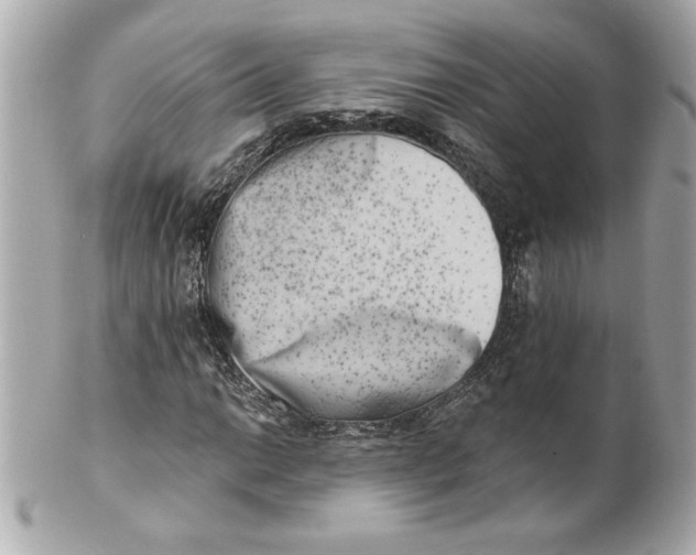 X0000101651014200807311408