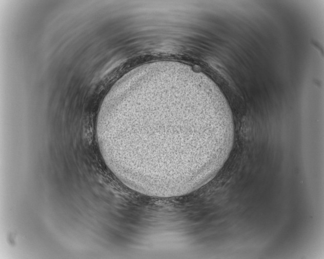 X0000101651015200807311408