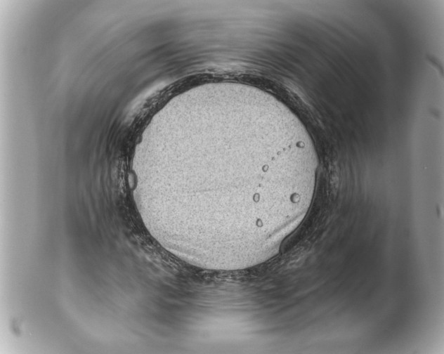 X0000101651016200807311408