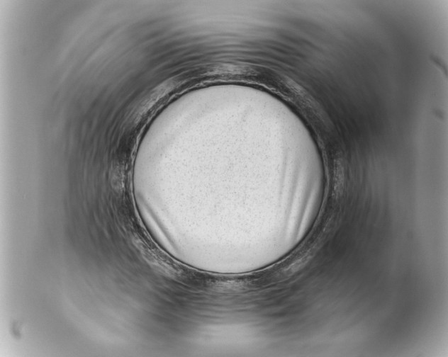 X0000101651017200807311408