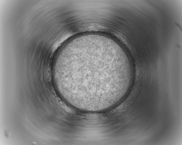 X0000101651018200807311408