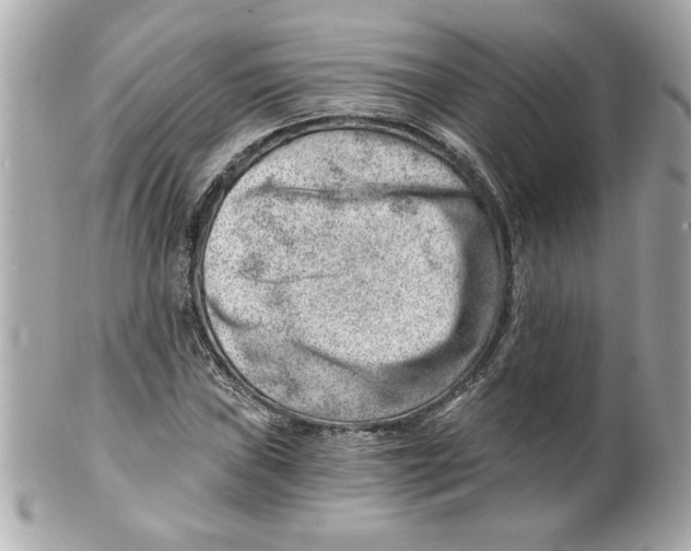X0000101651019200807311408