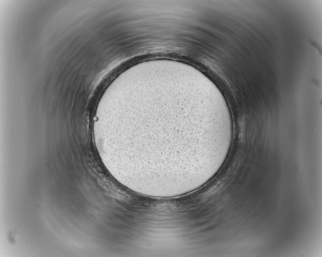 X0000101651021200807311408