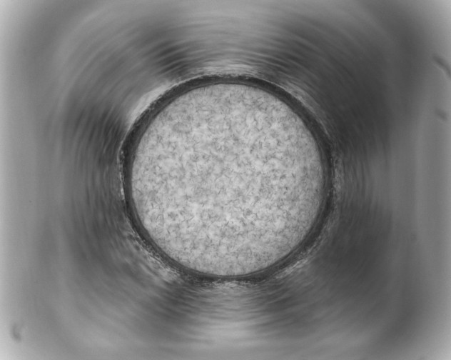 X0000101651022200807311409