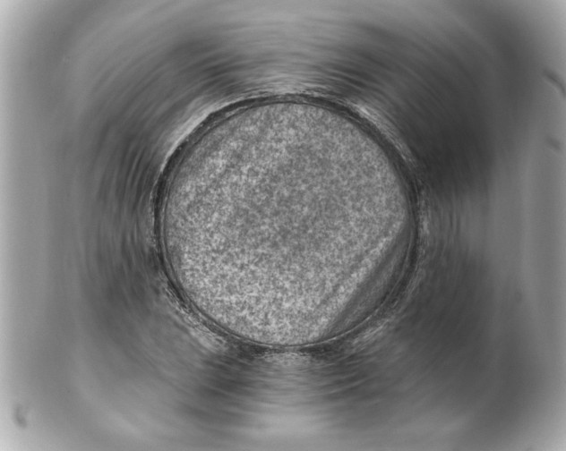 X0000101651023200807311409