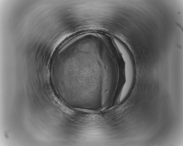 X0000101651024200807311409