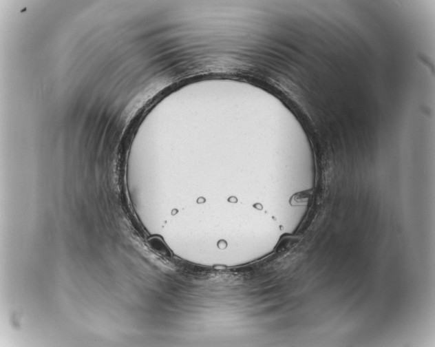 X0000101651026200807311409