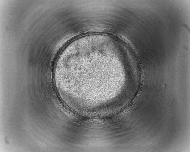 X0000101651027200807311409