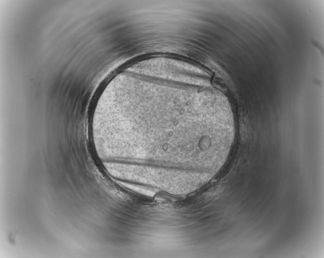 X0000101651028200807311409