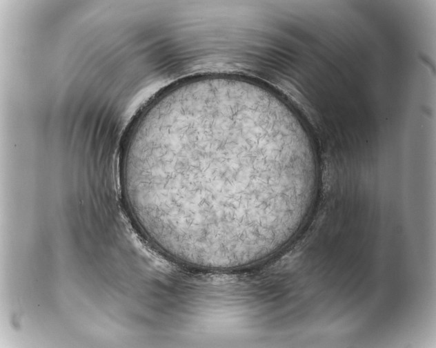 X0000101651030200807311409