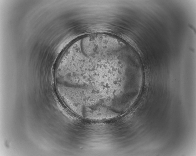 X0000101651031200807311409
