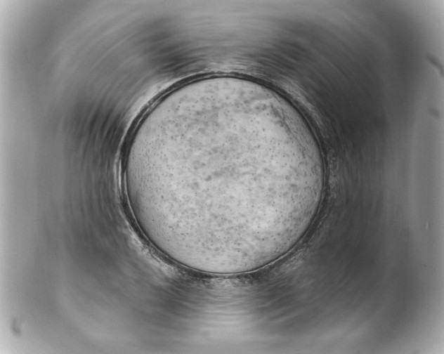X0000101651032200807311409