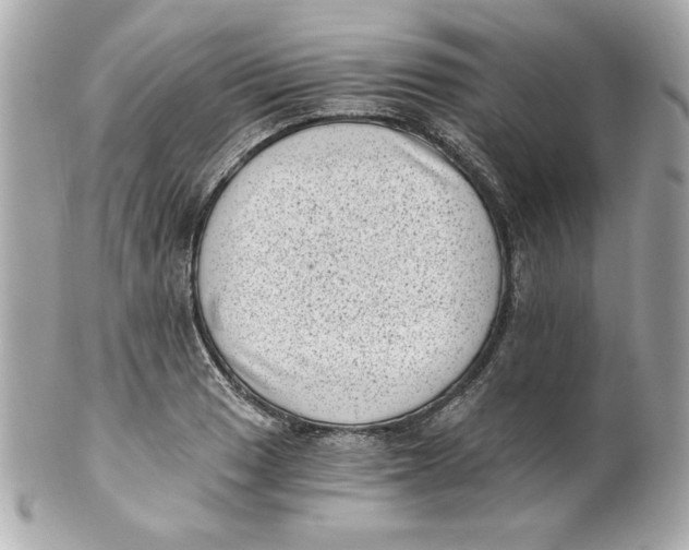 X0000101651033200807311409