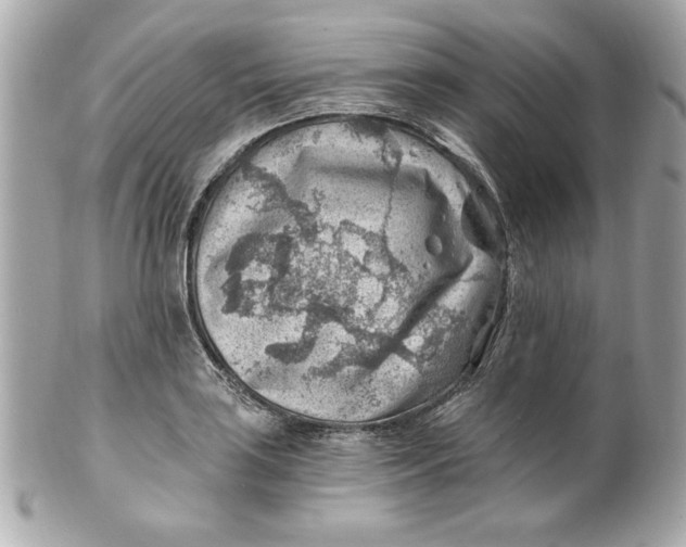 X0000101651035200807311409