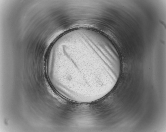 X0000101651038200807311409