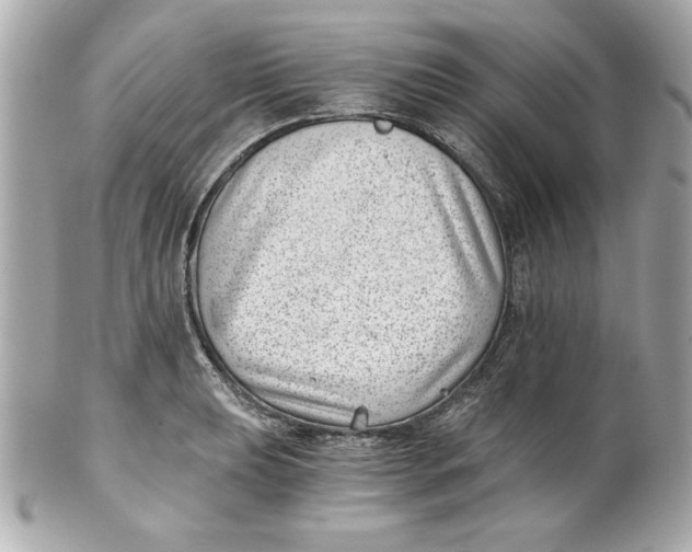 X0000101651039200807311409