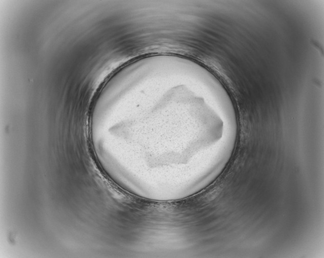 X0000101651040200807311409