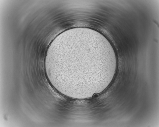 X0000101651041200807311409