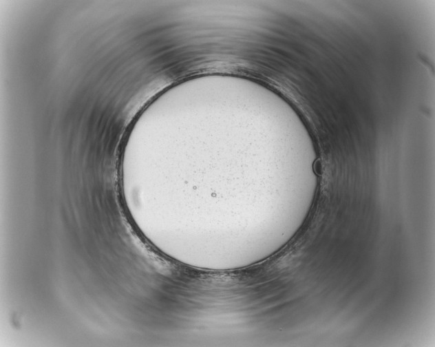 X0000101651042200807311409