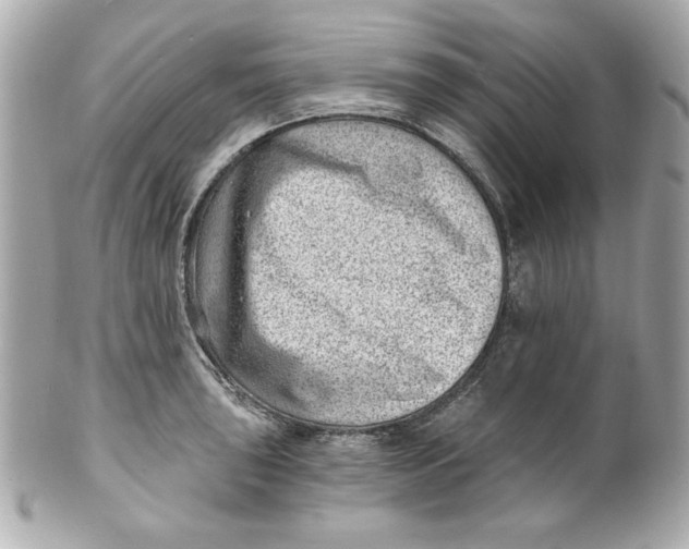X0000101651043200807311409