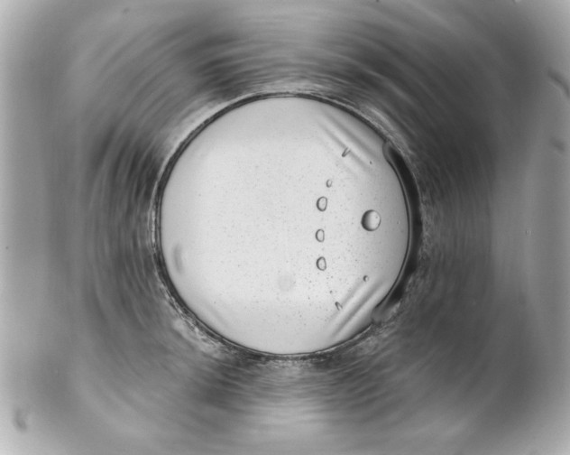 X0000101651044200807311409