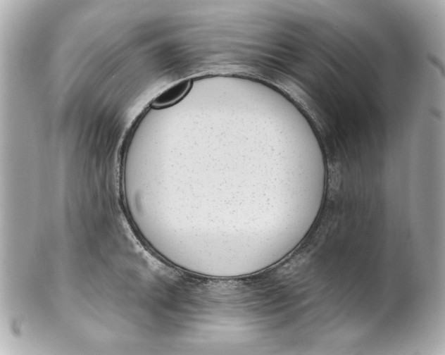 X0000101651046200807311409