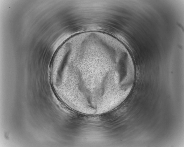 X0000101651047200807311409