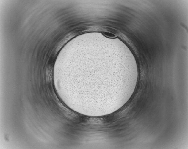 X0000101651049200807311409