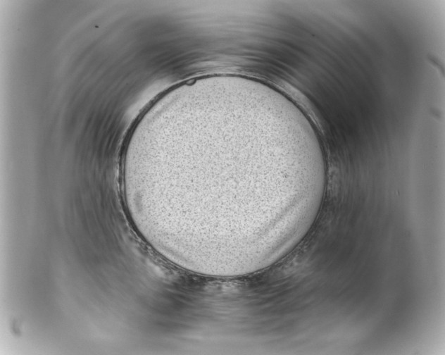 X0000101651051200807311409