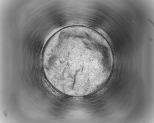 X0000101651052200807311409
